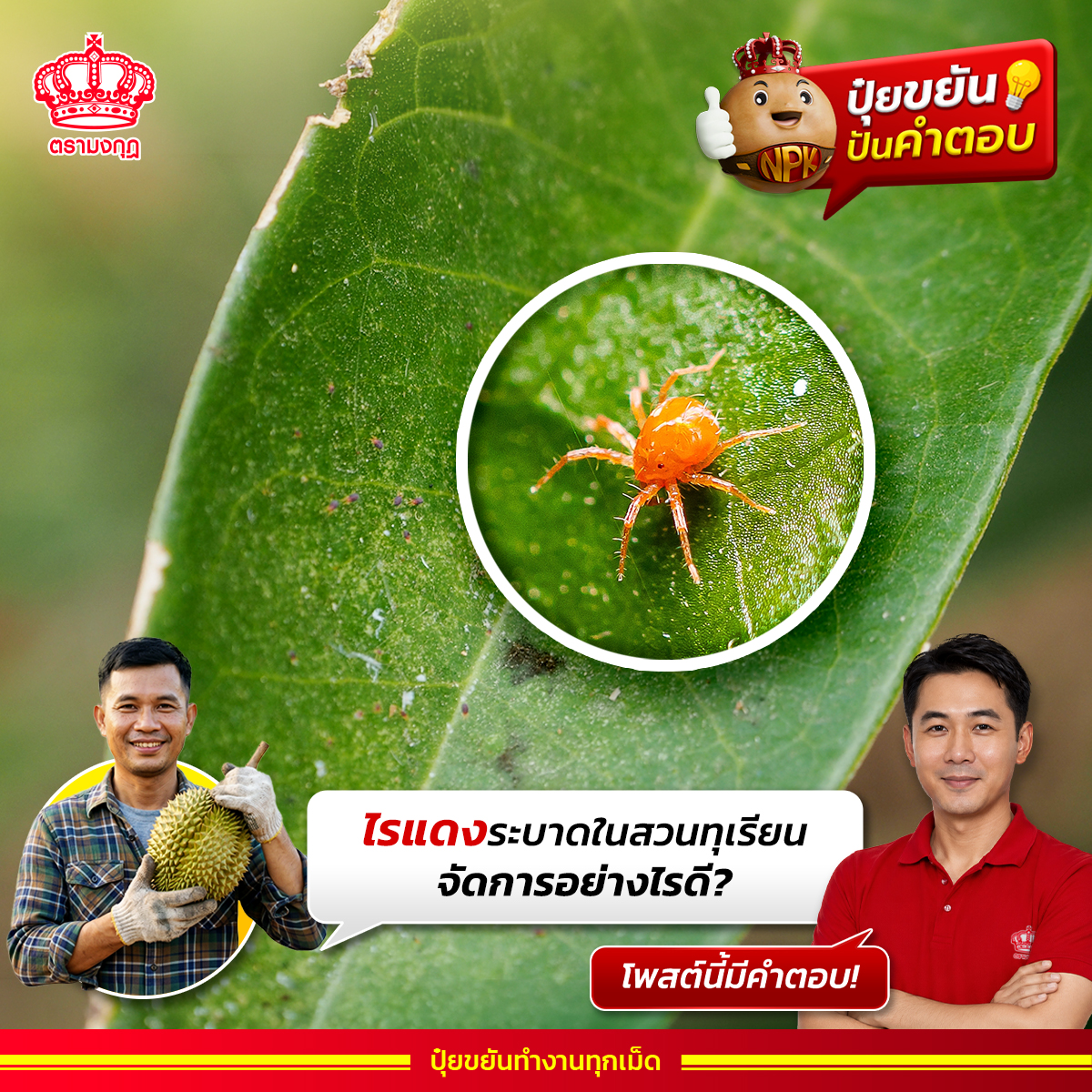 ปุ๋ยตรามงกุฎ Facebook ad