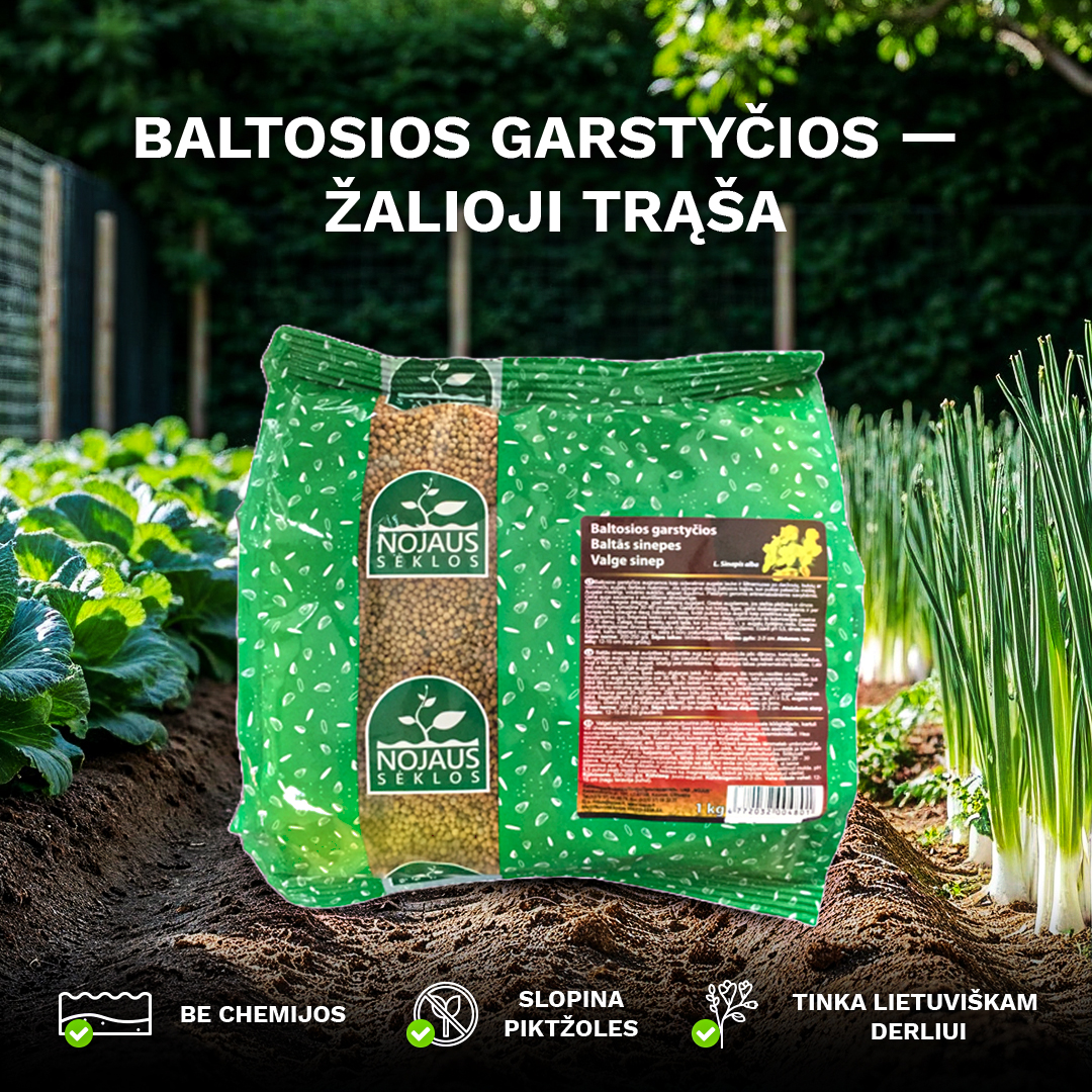 Nojaus sėklos Facebook ad