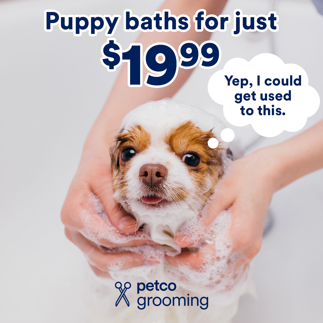 Petco Facebook ad
