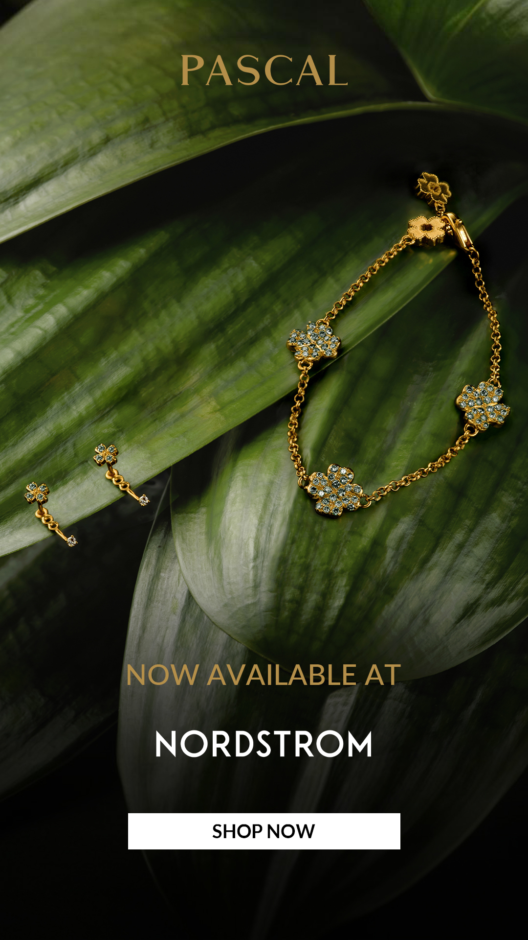 PascalOfficial Facebook ad