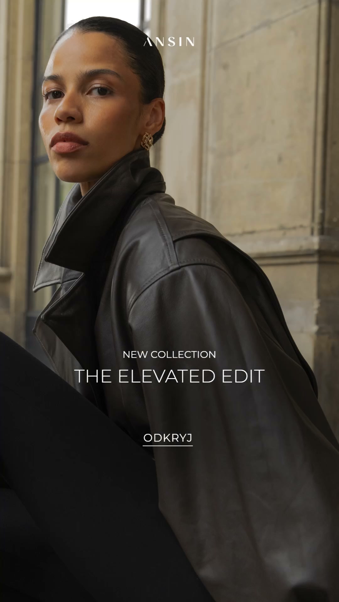 ANSIN Facebook ad: THE ELEVATED EDIT