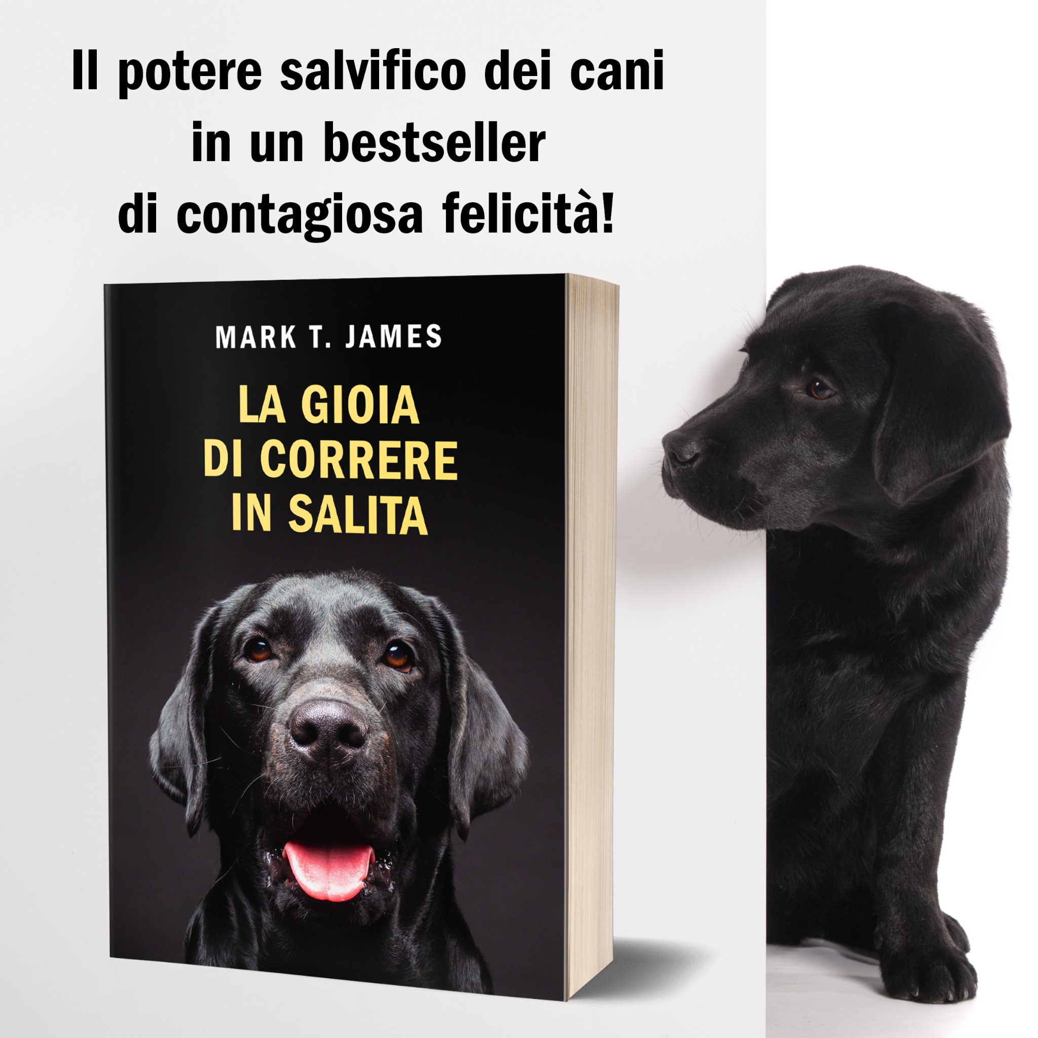 La gioia di correre in salita - Il libro Facebook ad