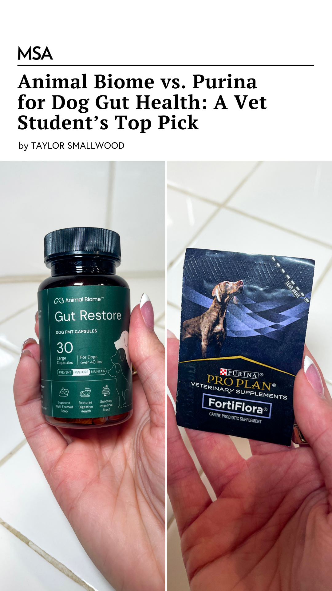 Dogtor Tay Facebook ad from Mar 2, 2026