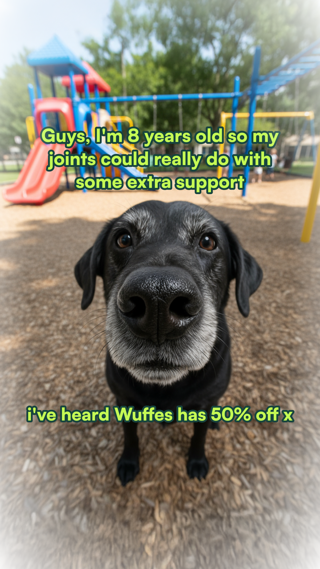 Wuffes Facebook ad