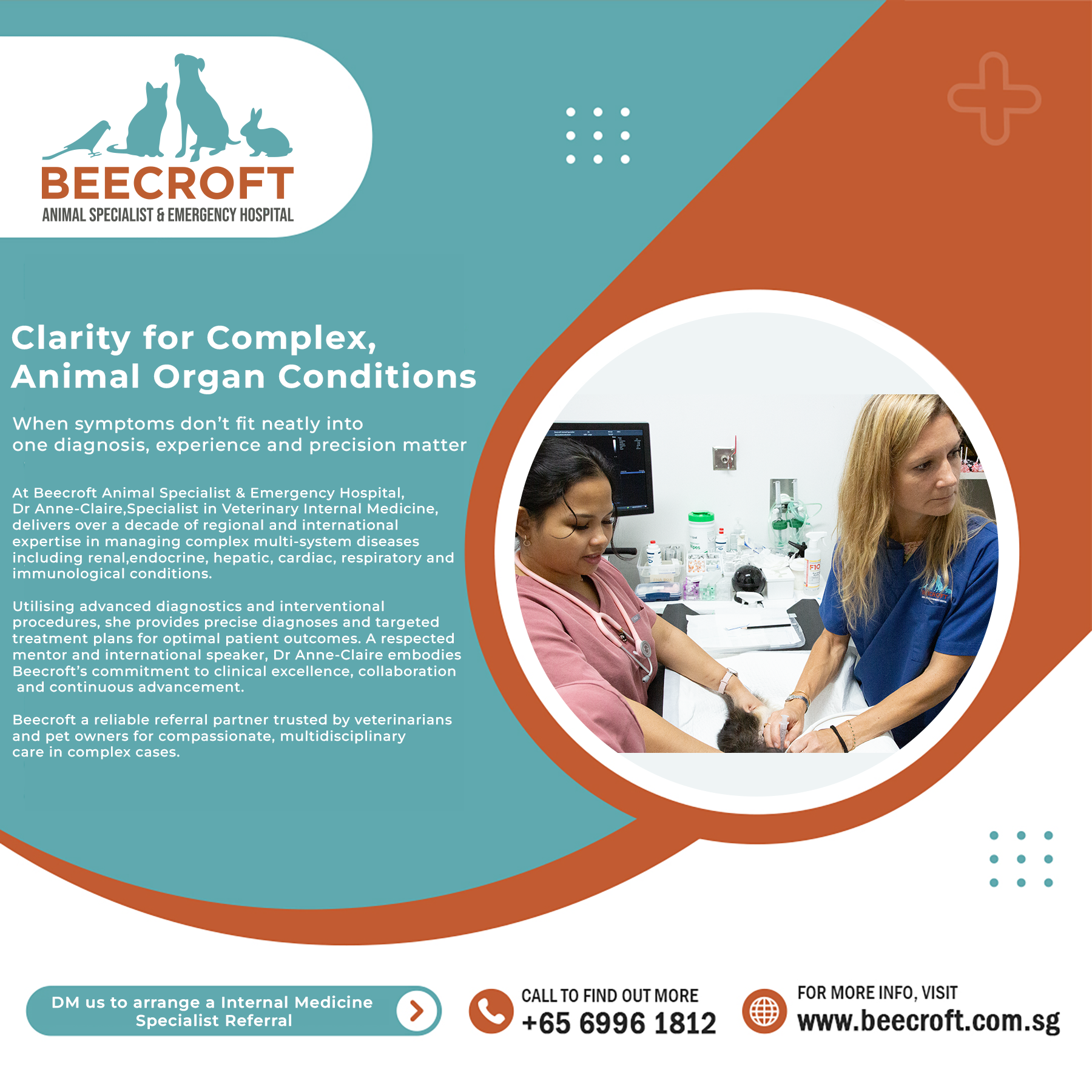 Beecroft Animal Specialist and Emergency Hospital Facebook ad from Jul 21, 2026