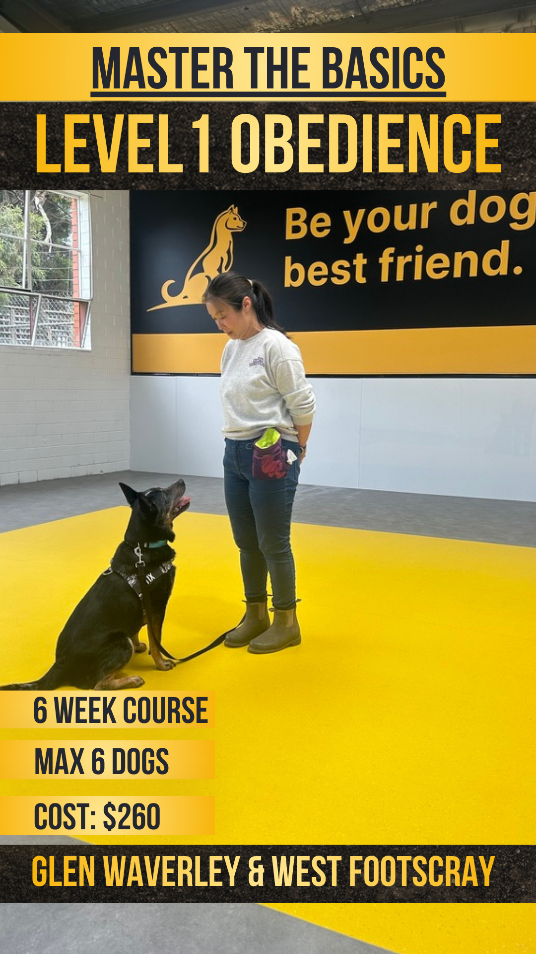 Pro Dog Training Facebook ad