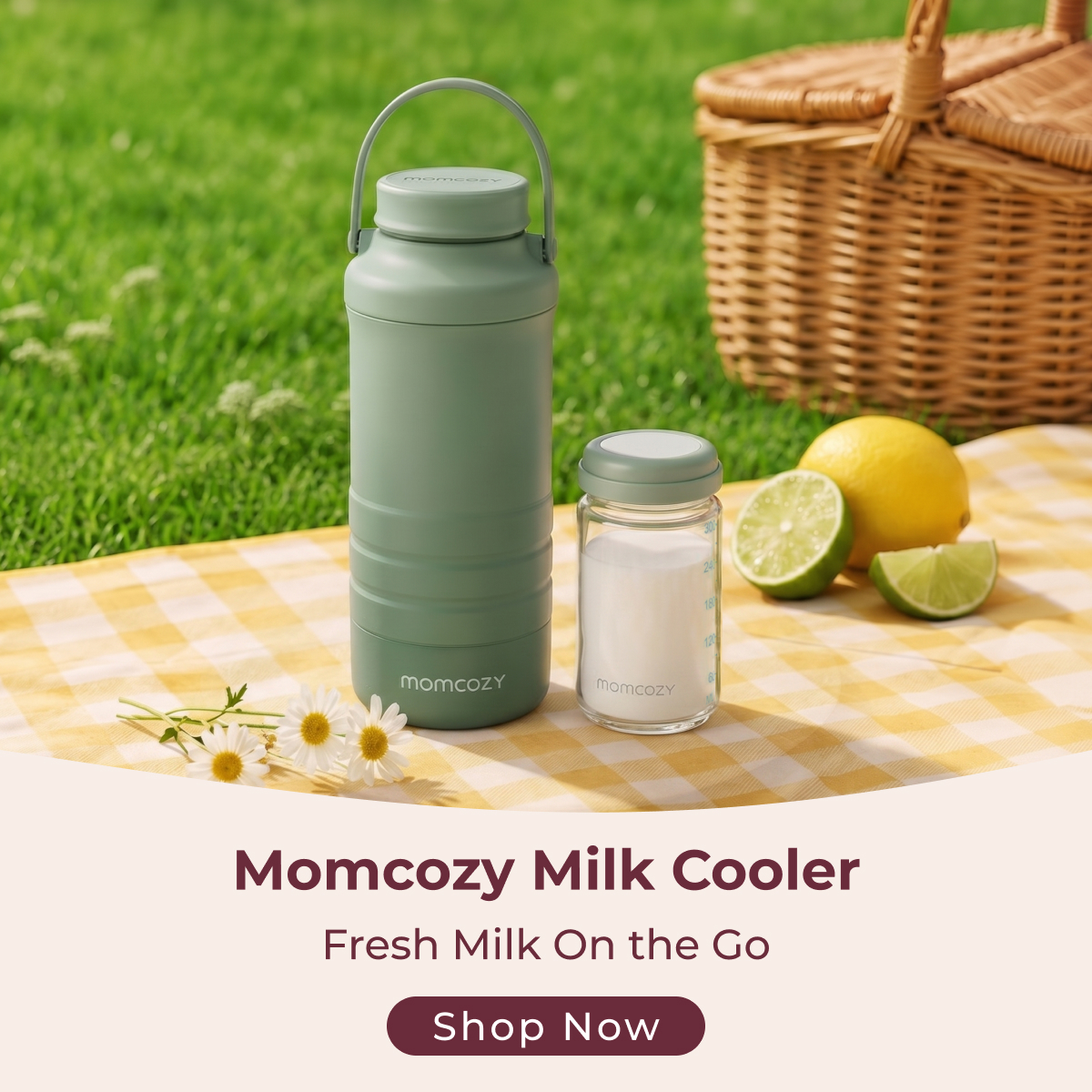 Momcozy Facebook ad