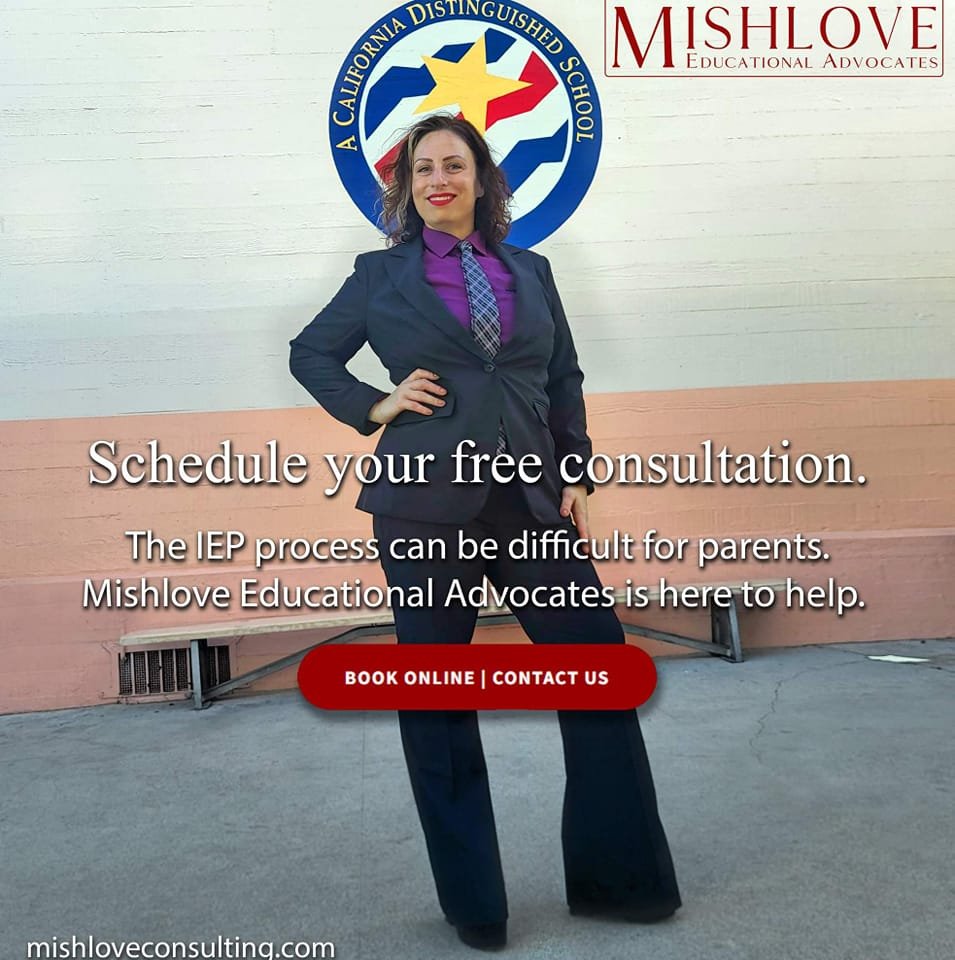 Mishlove Educational Advocates Facebook ad: Your child's IEP (Individual Education Plan) is a…