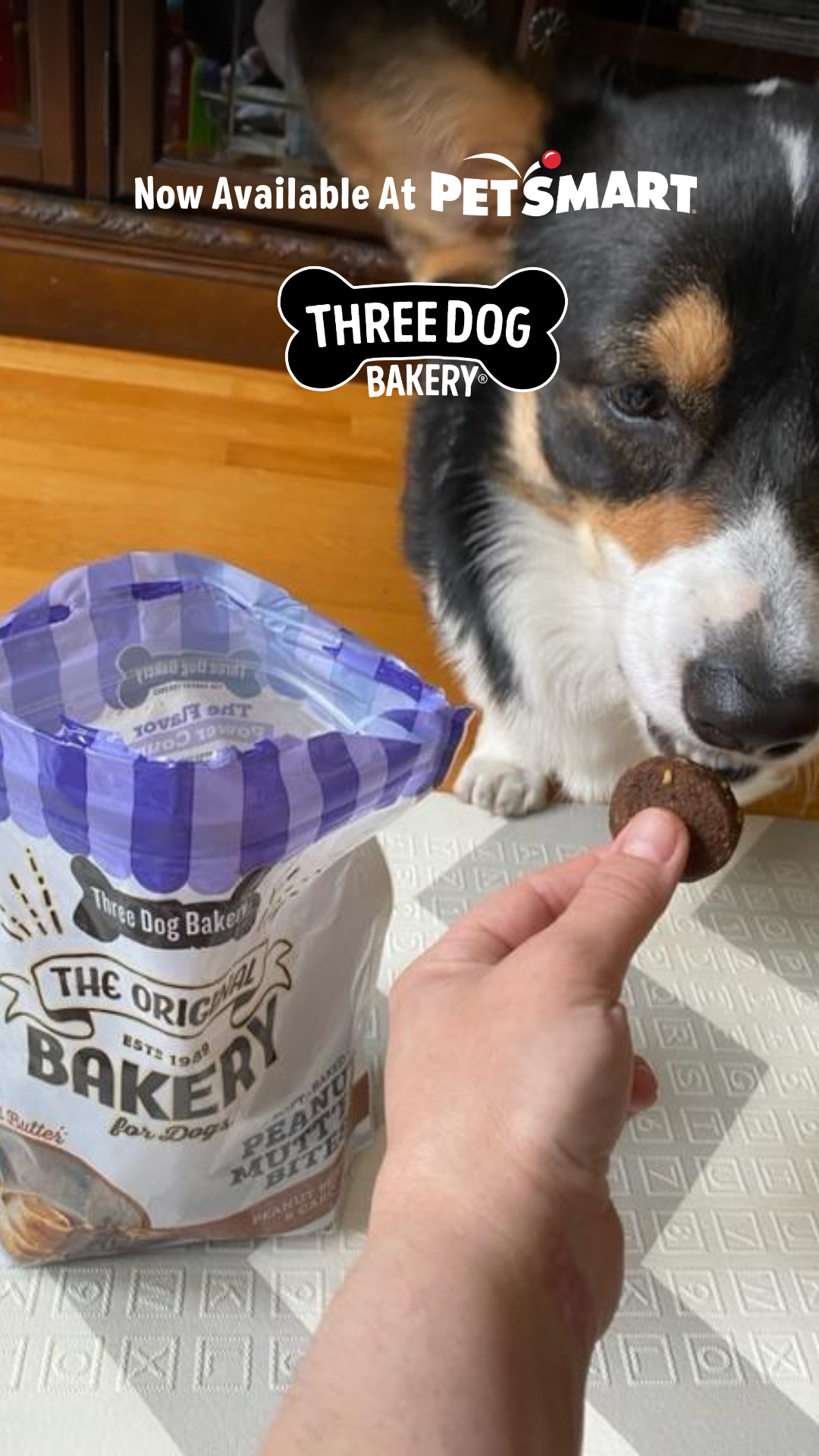 Three Dog Bakery Facebook ad