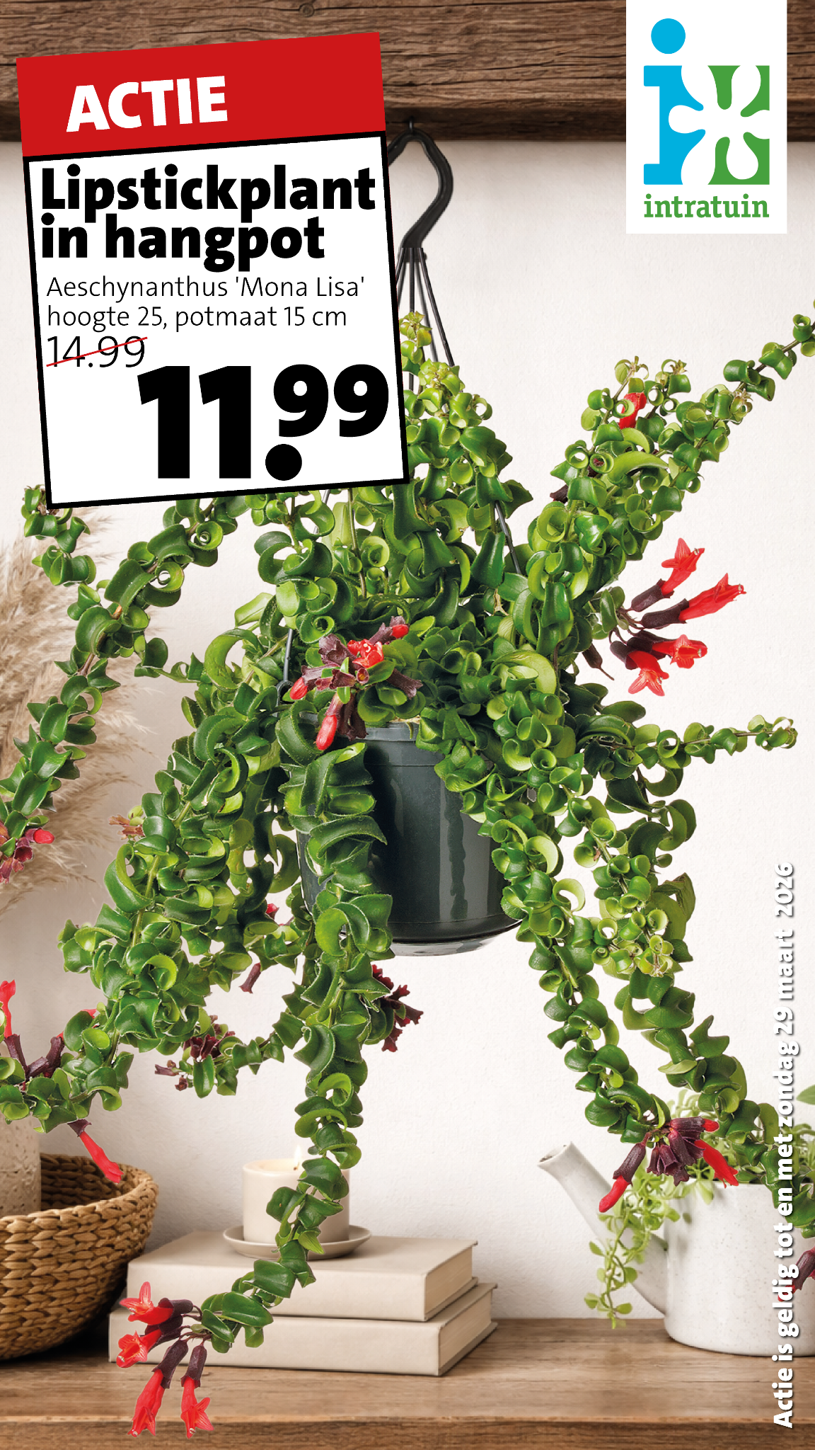 Intratuin Malden Facebook ad from Mar 23, 2026