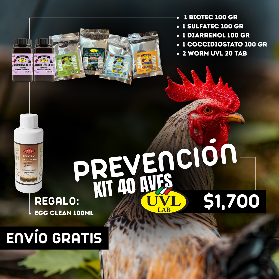 Gallomaquia Liquid AMBAR Facebook ad: Promociones especiales para mantener tus aves sanas y…