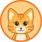 Oyen Pet Insurance & Takaful Kucing