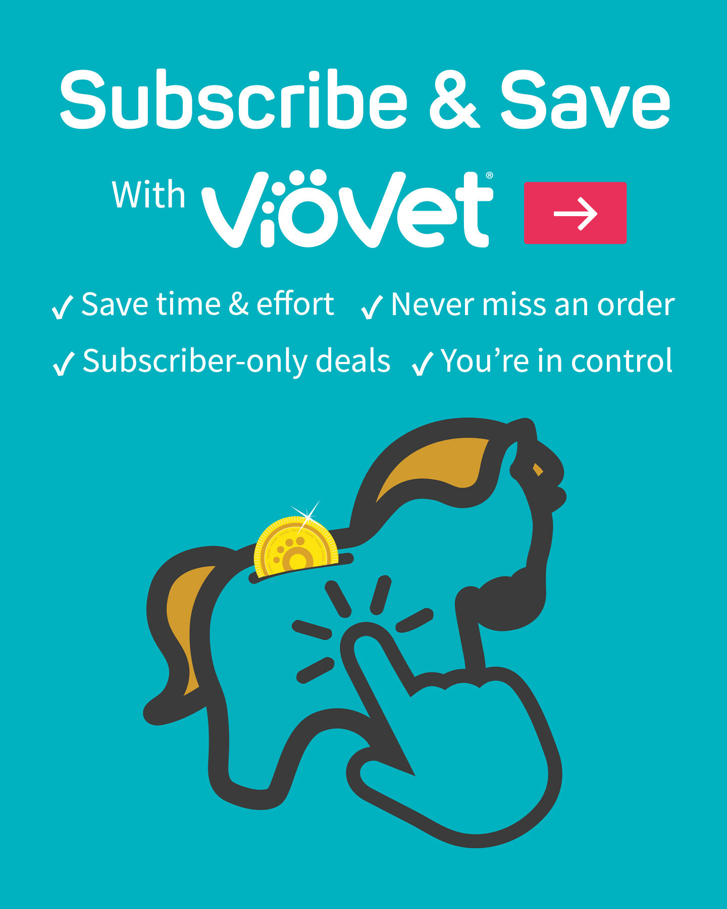VioVet Equine Facebook ad