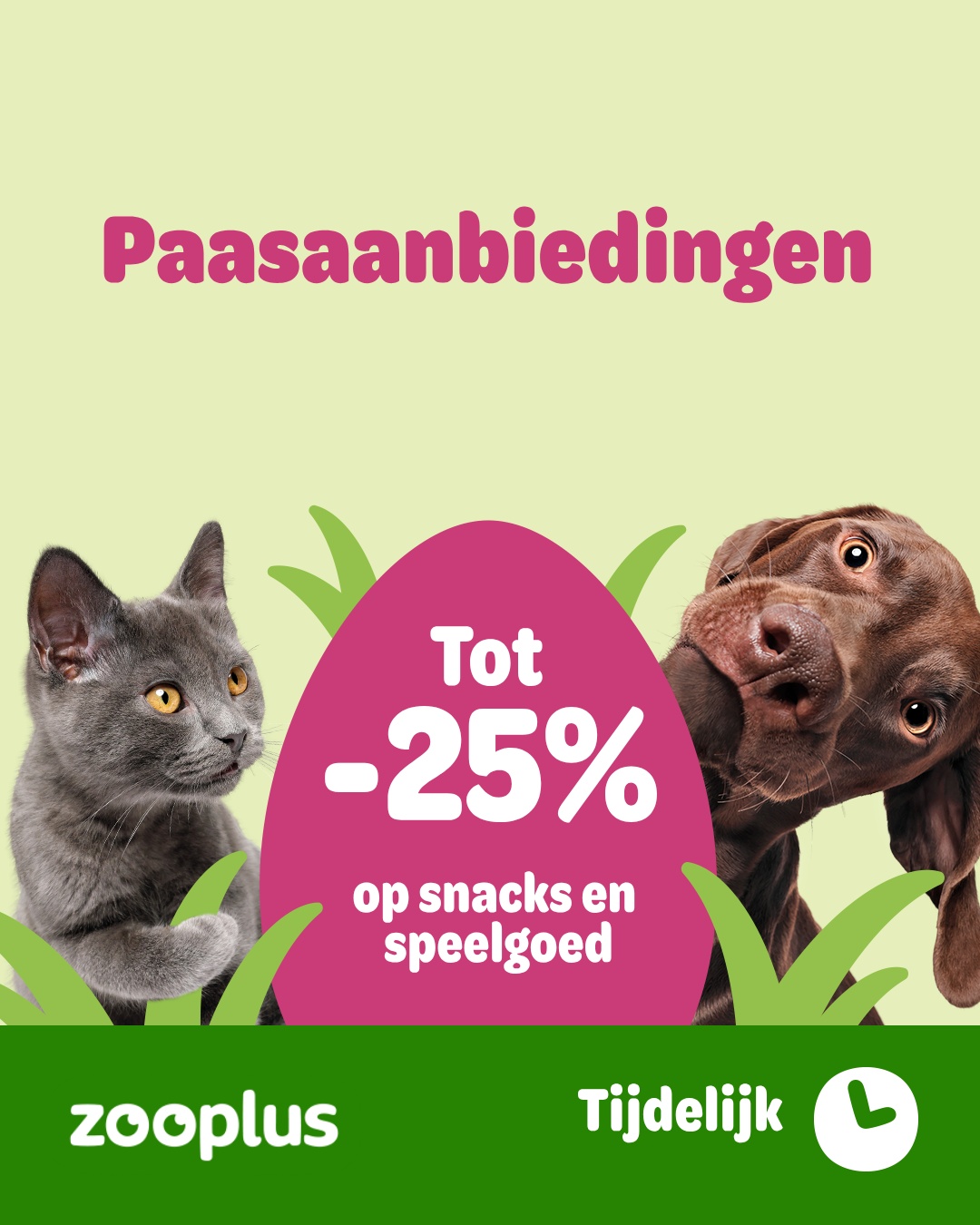 zooplus Facebook ad