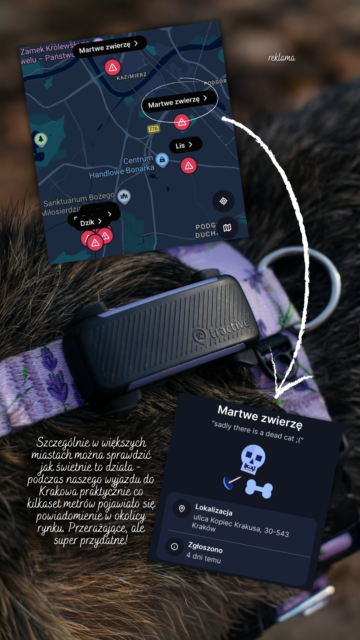 Tractive Facebook ad