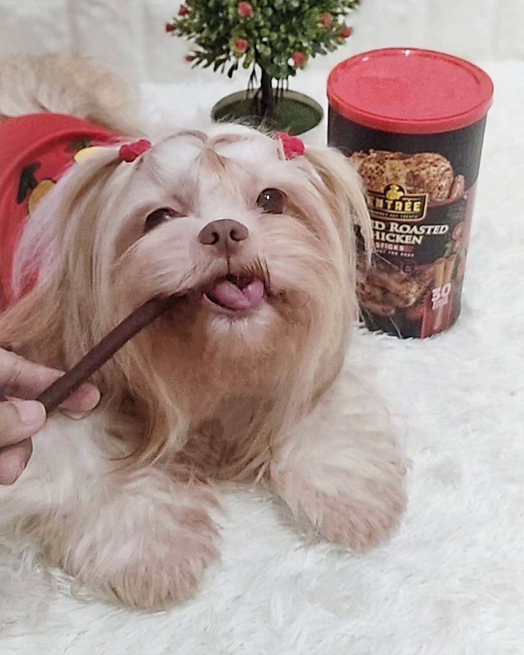 Entrée Gourmet Pet Treats Facebook ad