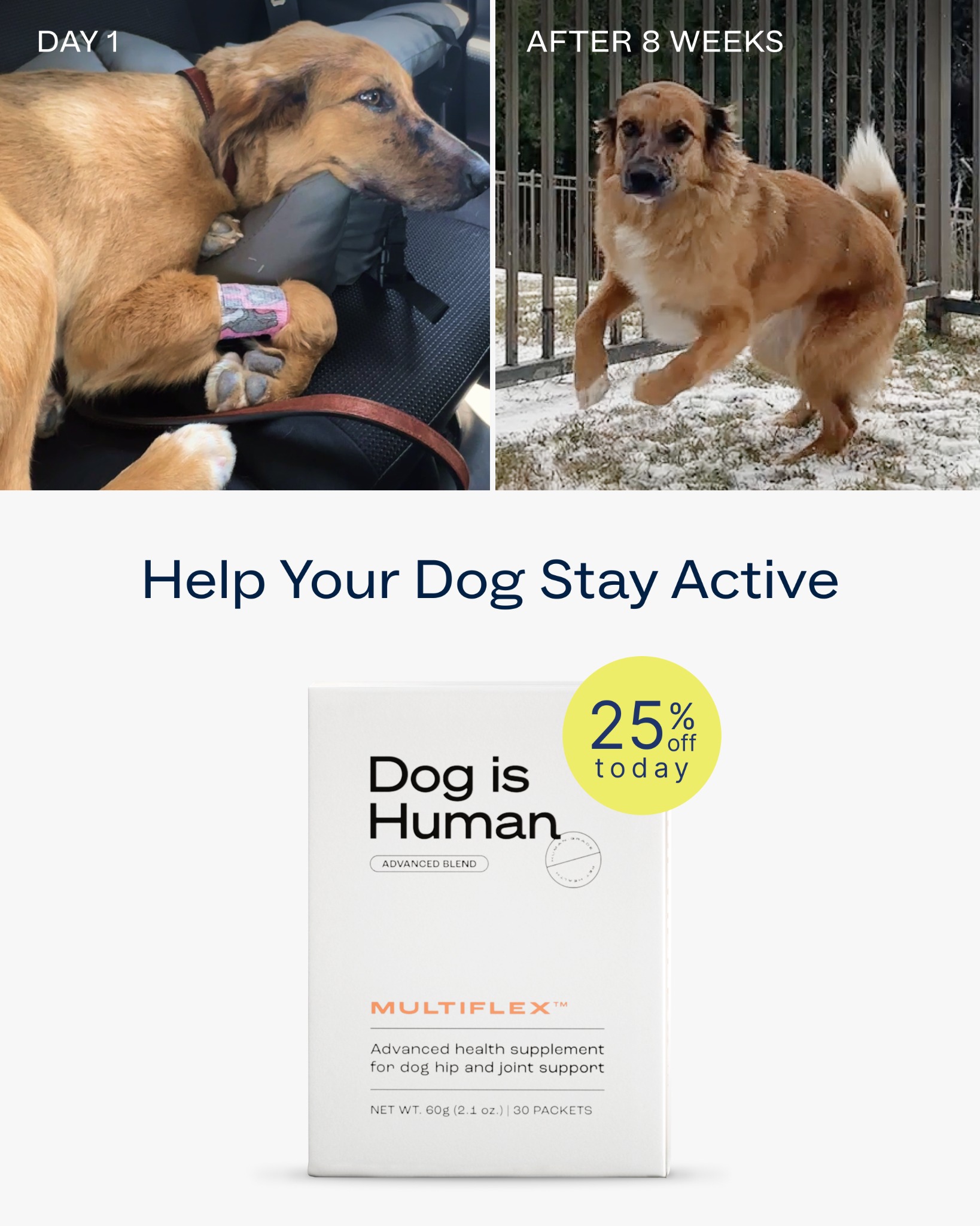 Dog is Human Facebook ad