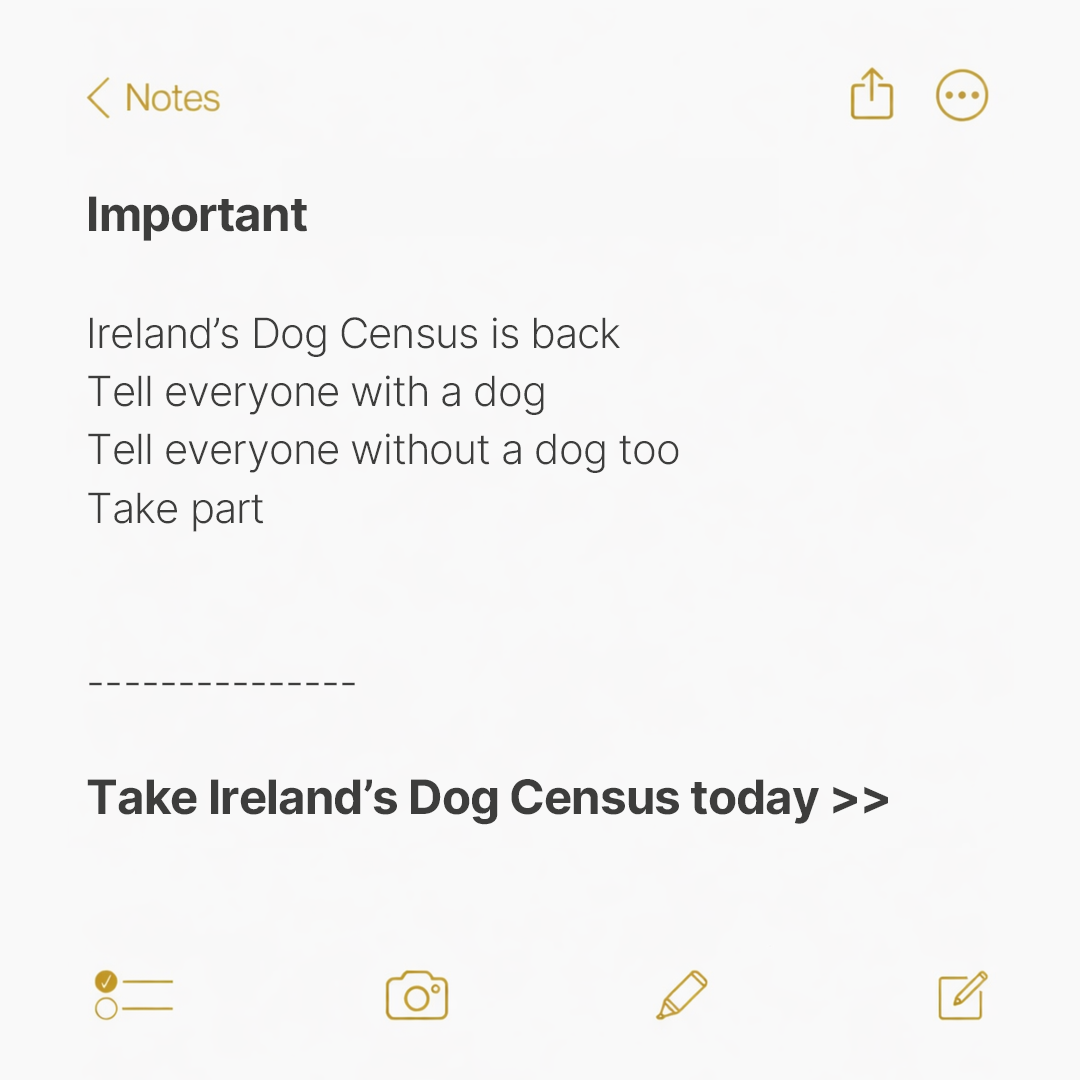 Dogs Trust Ireland Facebook ad: Let’s talk about dogs