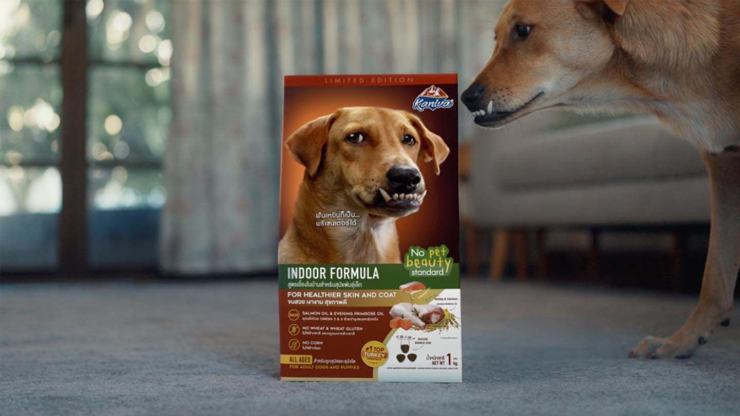 Kaniva Pet Food Facebook ad: พรีเซนเตอร์หมาแมวที่ไม่เคยมีมาก่อน!