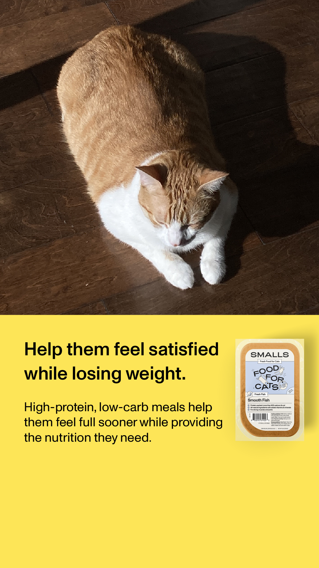 Smalls Facebook ad: Human-Grade Fresh Cat Food