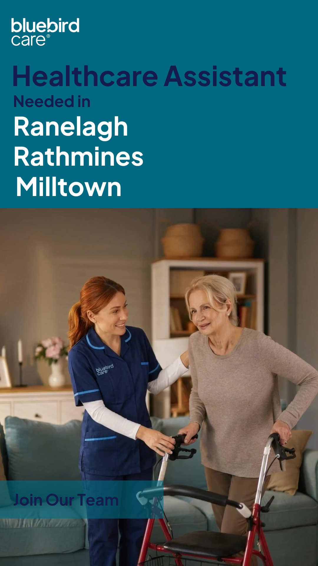 Bluebird Care Dublin South Careers Facebook ad from Feb 19, 2026