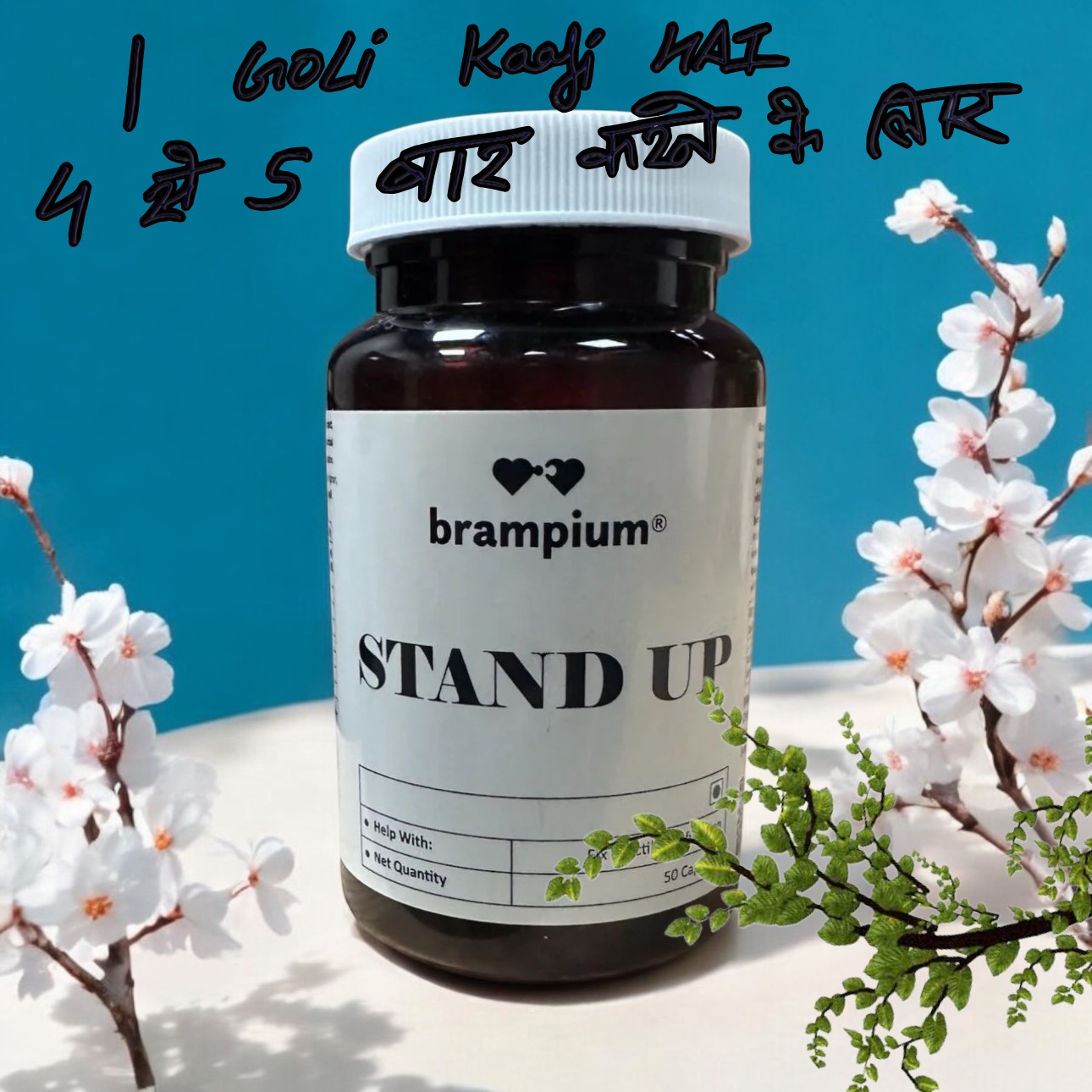 Brampium Facebook ad: 30 लाख से अधिक ग्राहक