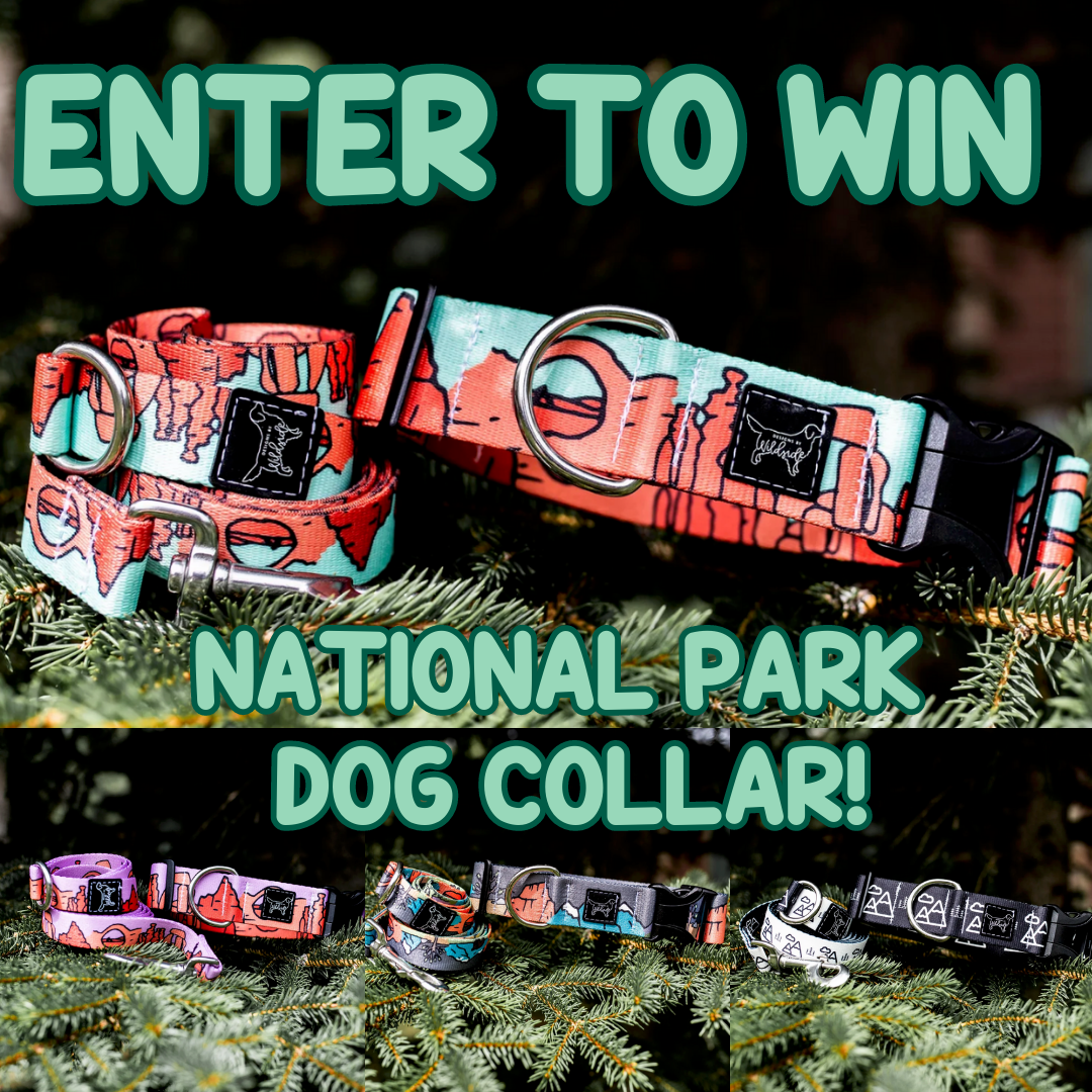 Wildside Dog Gear Facebook ad