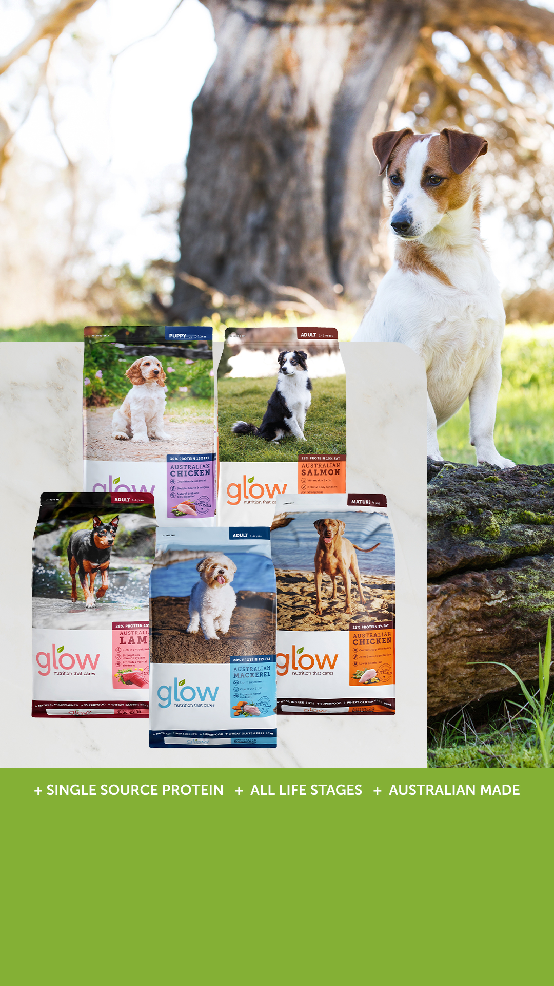 Petstock Facebook ad