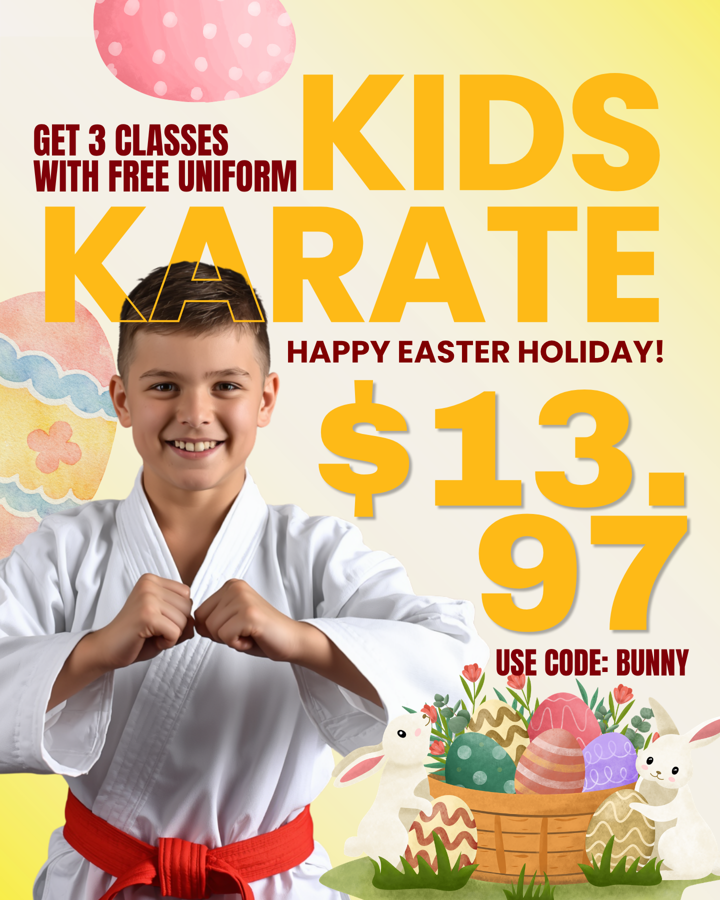 Amerikick Martial Arts Facebook ad