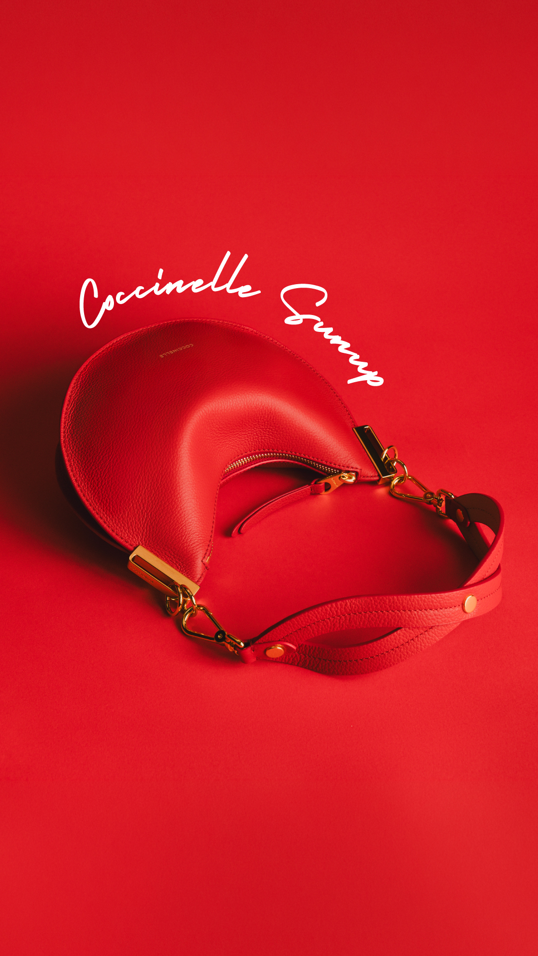 COCCINELLE Facebook ad