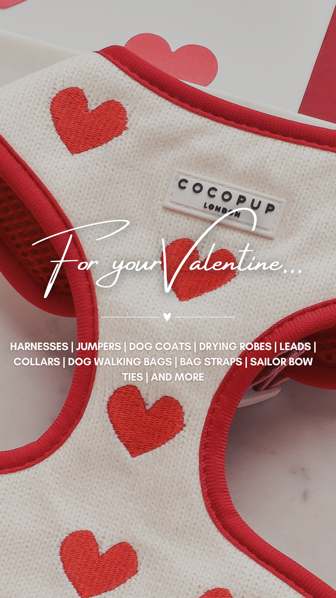 Cocopupuk Facebook ad
