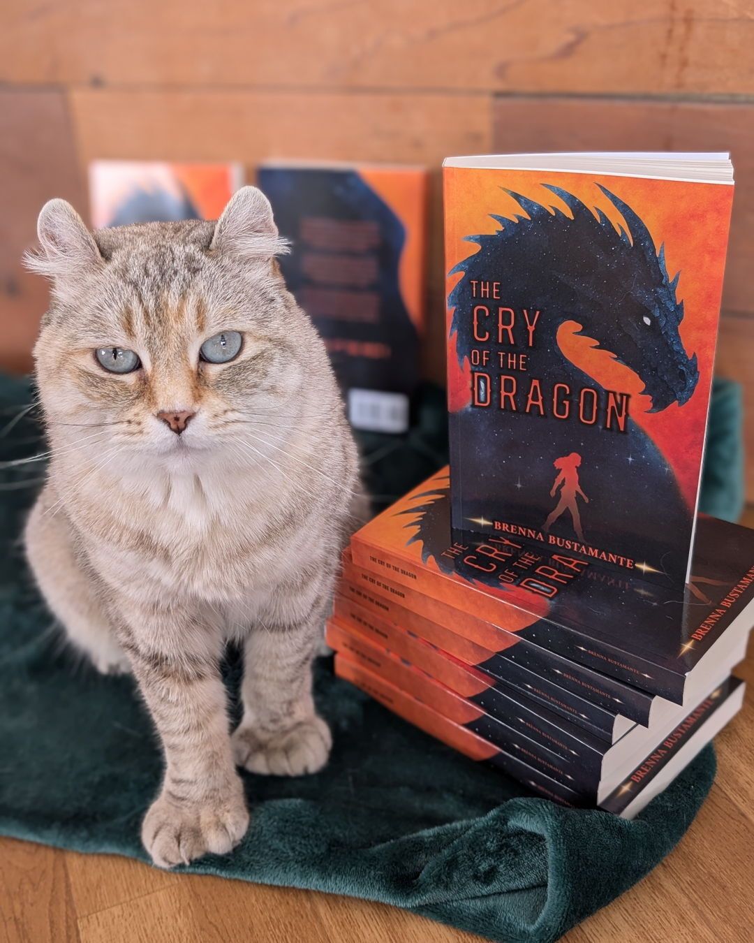 Brenna Bustamante - Author Facebook ad: Not yet professional, but getting there!