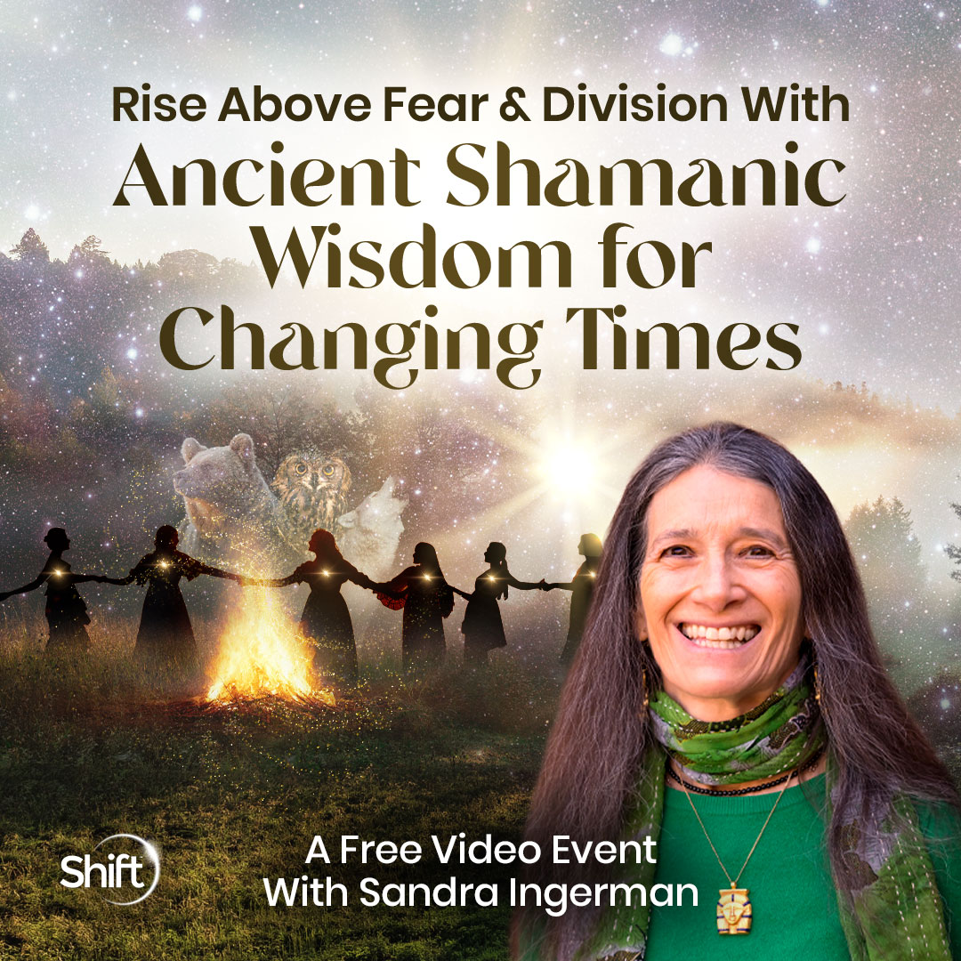 The Shift Network Facebook ad