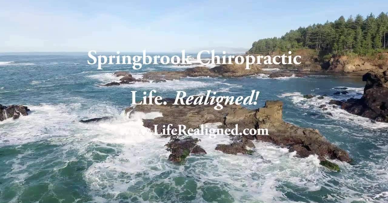 Springbrook Chiropractic/Dr. John J. Collins Facebook ad: Springbrook Chiropractic