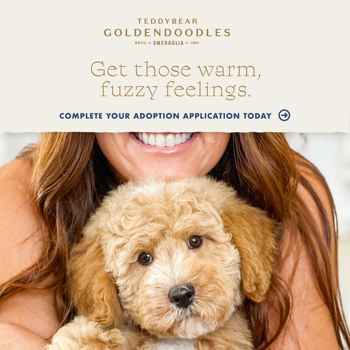 Smeraglia's Teddy Bear Goldendoodles & Schnoodles Facebook ad