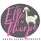 Elle Thorpe Books