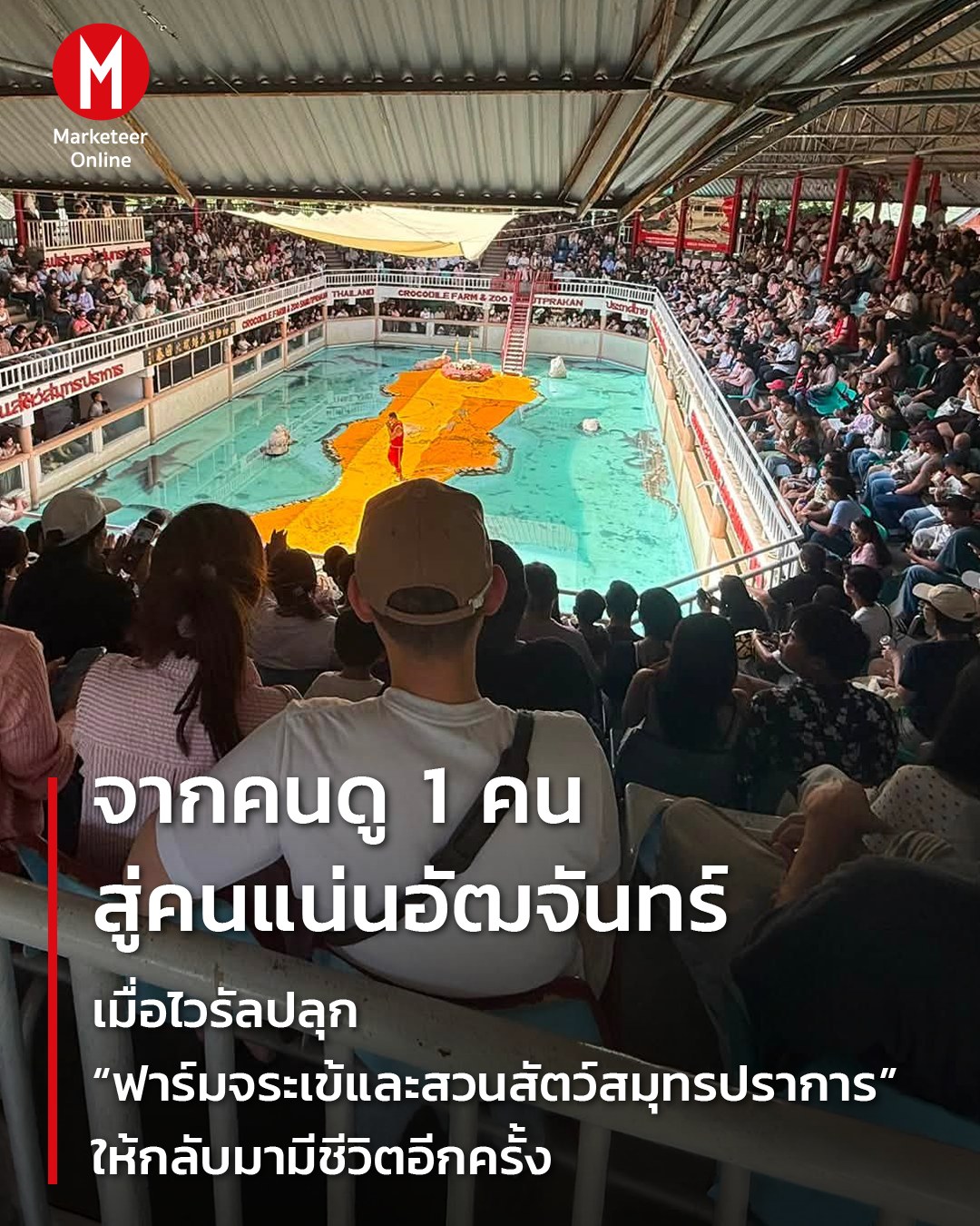 Marketeer Online Facebook ad: จากคนดู 1 คน สู่คนแน่นอัฒจันทร์ เมื่อไวรัลปลุก…