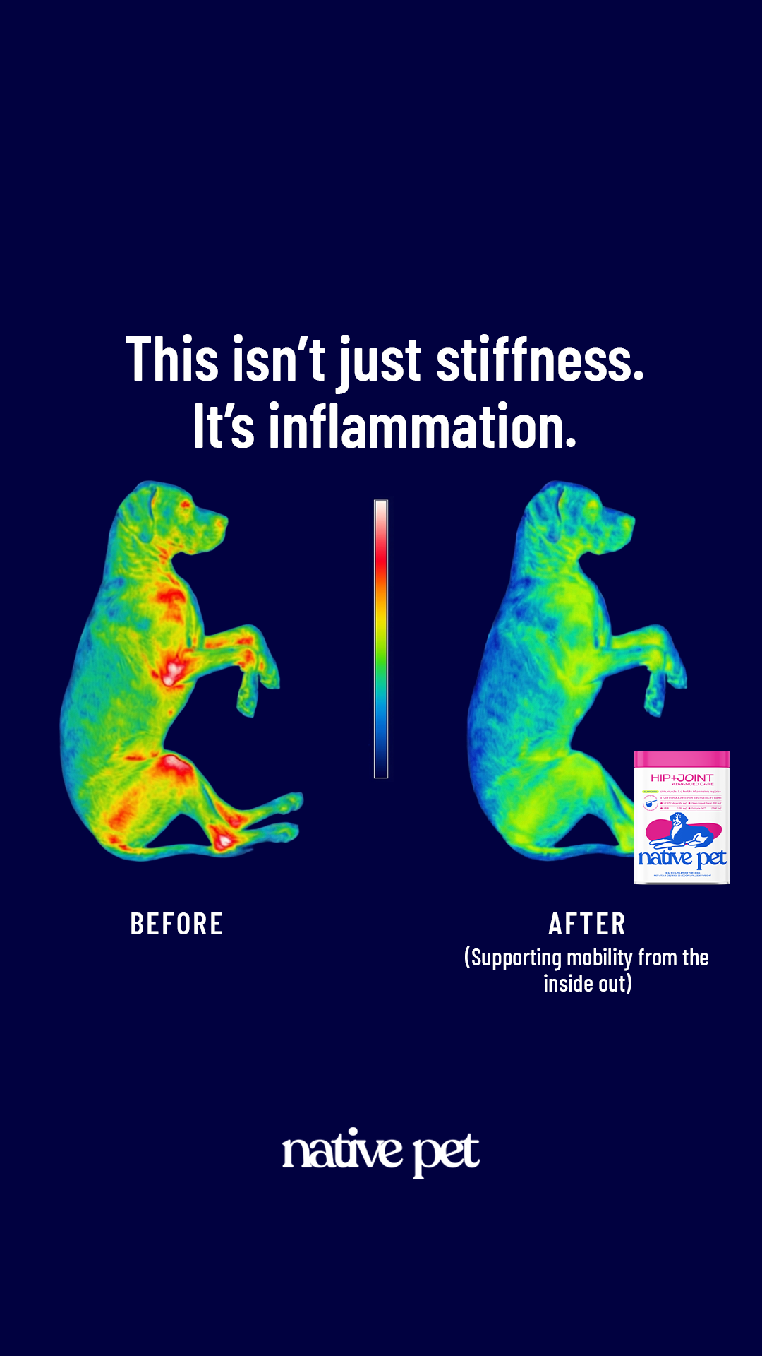 k9healthdaily Facebook ad from Mar 19, 2026