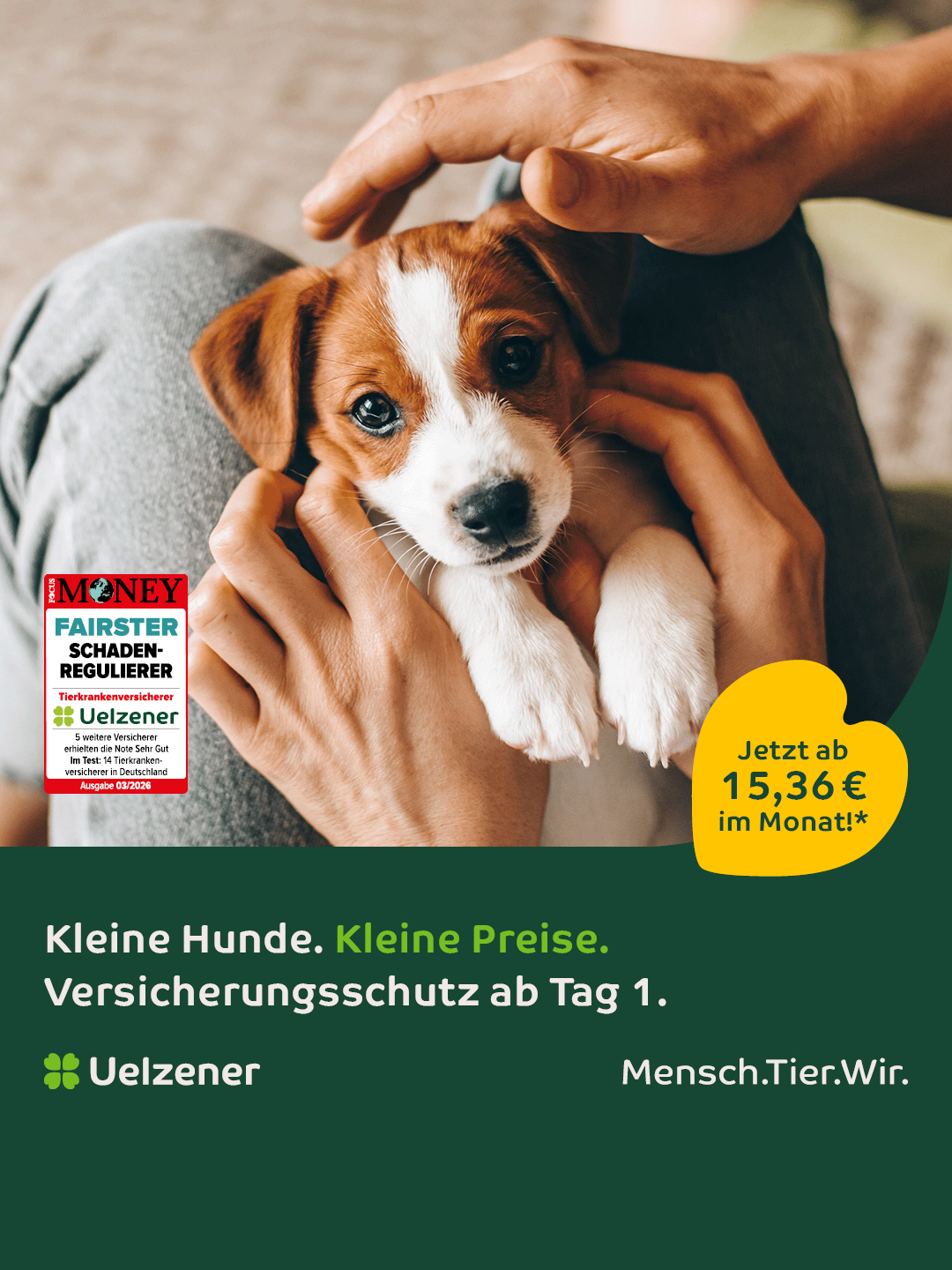 Uelzener Versicherungen Facebook ad: Schutz für Fellnasen!