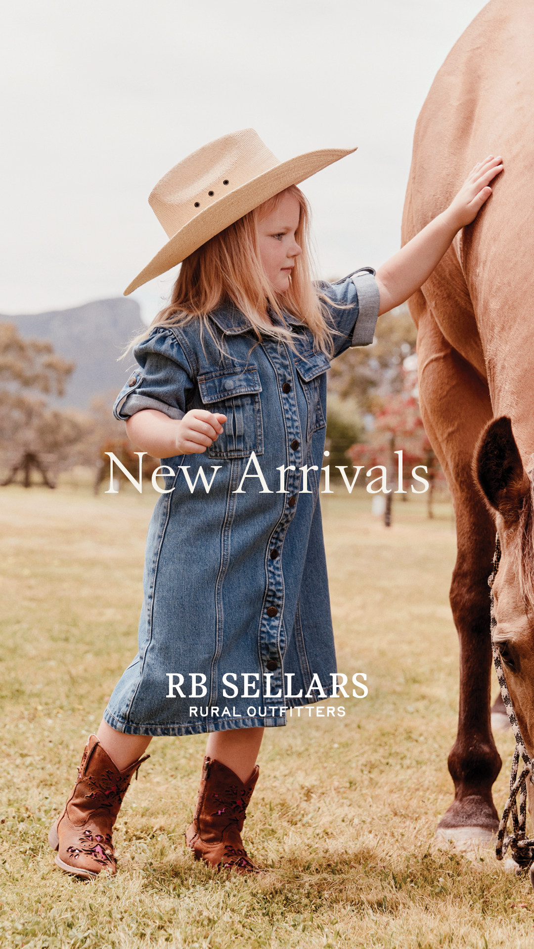 RB Sellars Facebook ad