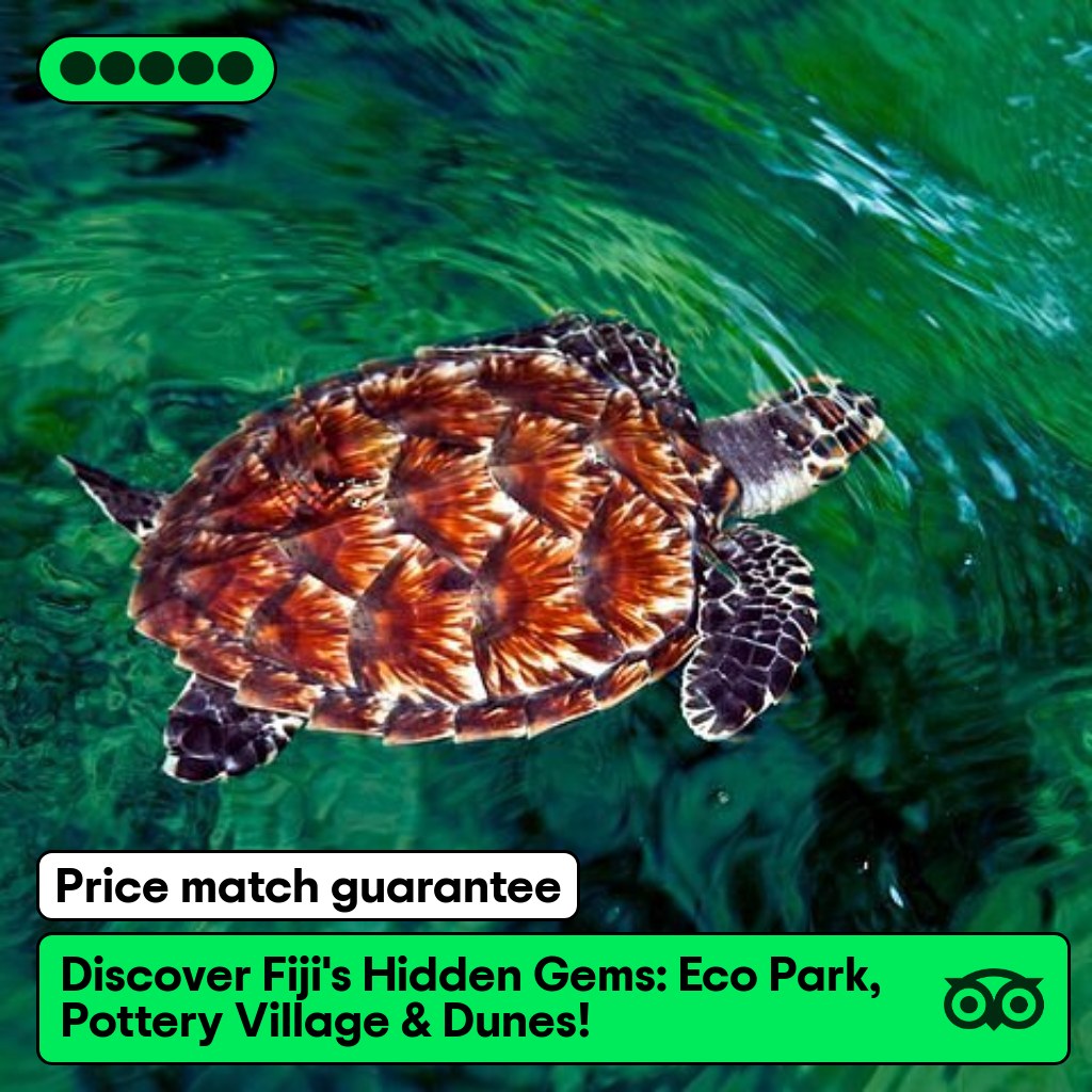 Tripadvisor Facebook ad