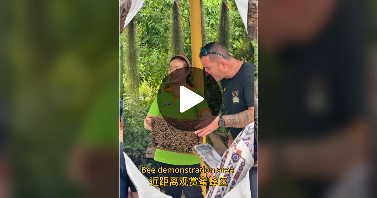 Big Bee Farm Phuket สวนผึ้งภูเก็ต Facebook ad: TikTok · ภูเขารีวิว (60K)