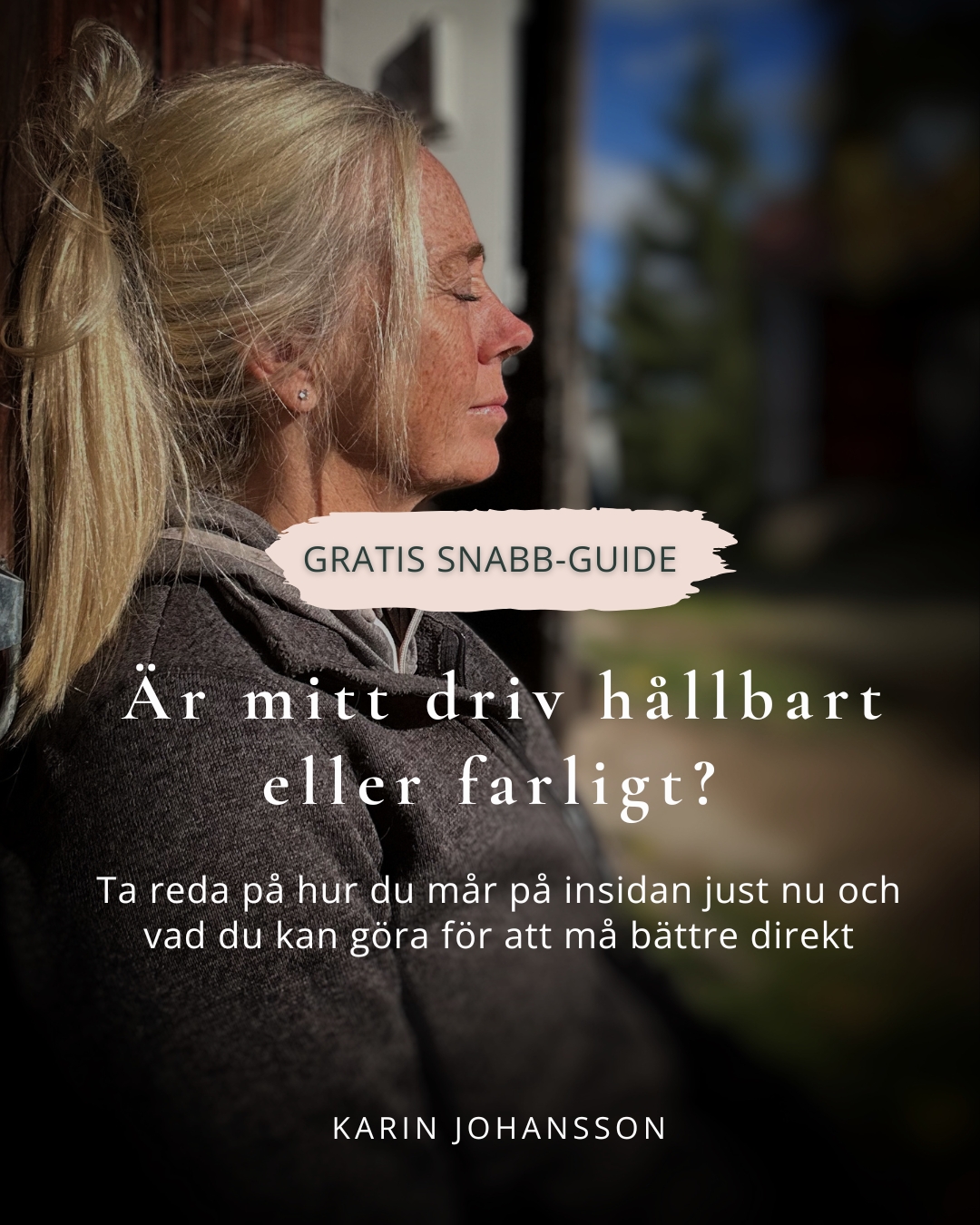 Karin Johansson Facebook ad