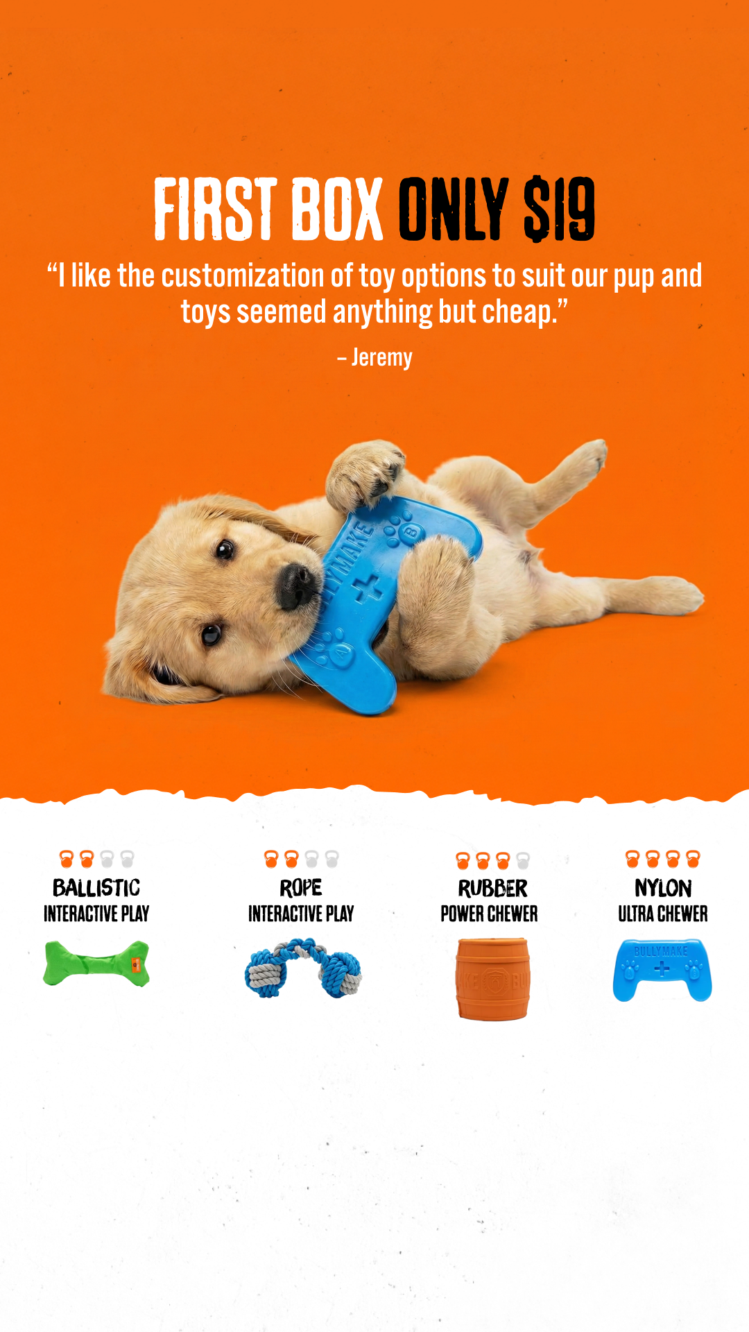 Canine Curations Facebook ad: First Box Only $19