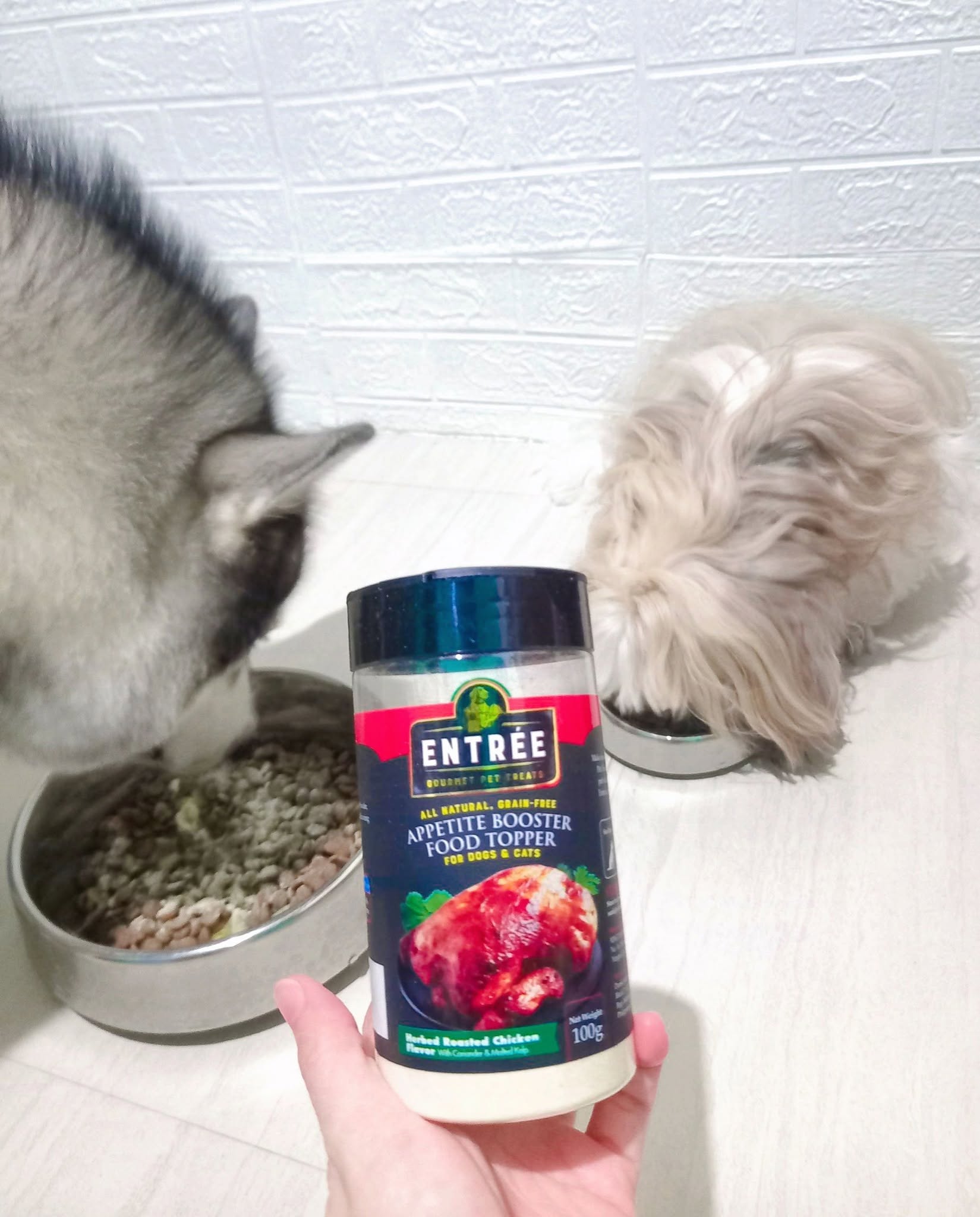 Entrée Gourmet Pet Treats Facebook ad