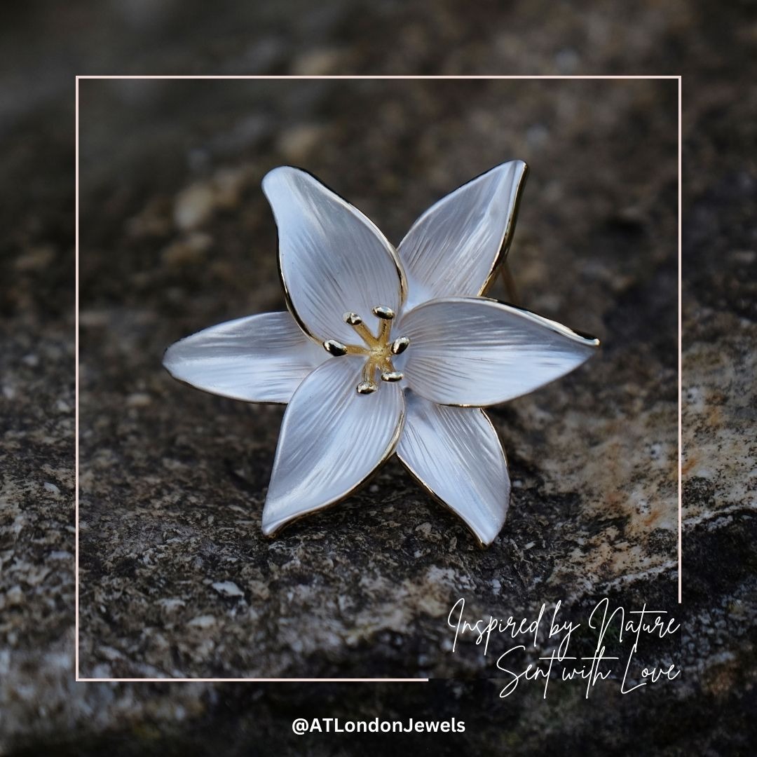 Alexander Thurlow Facebook ad: Discover our unique collection of nature inspired brooches…
