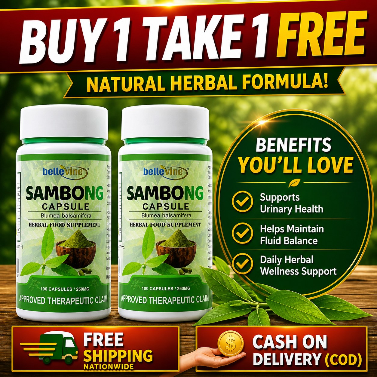 Bellevine Sambong Capsules Facebook ad: Kapag napabayaan ang urinary health, pwedeng mas lumaki…