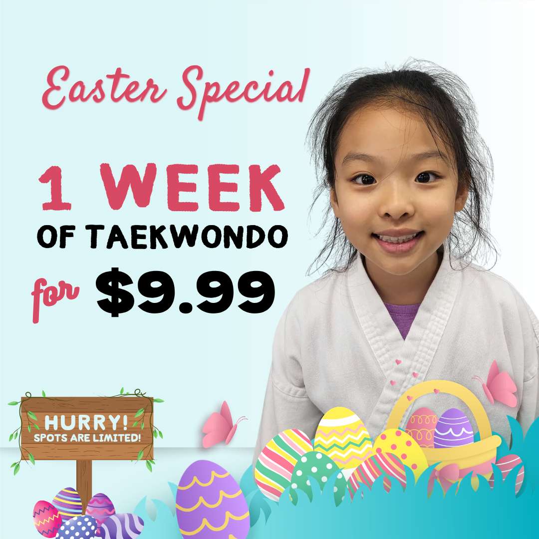 Plantation Tae Kwon Do Facebook ad