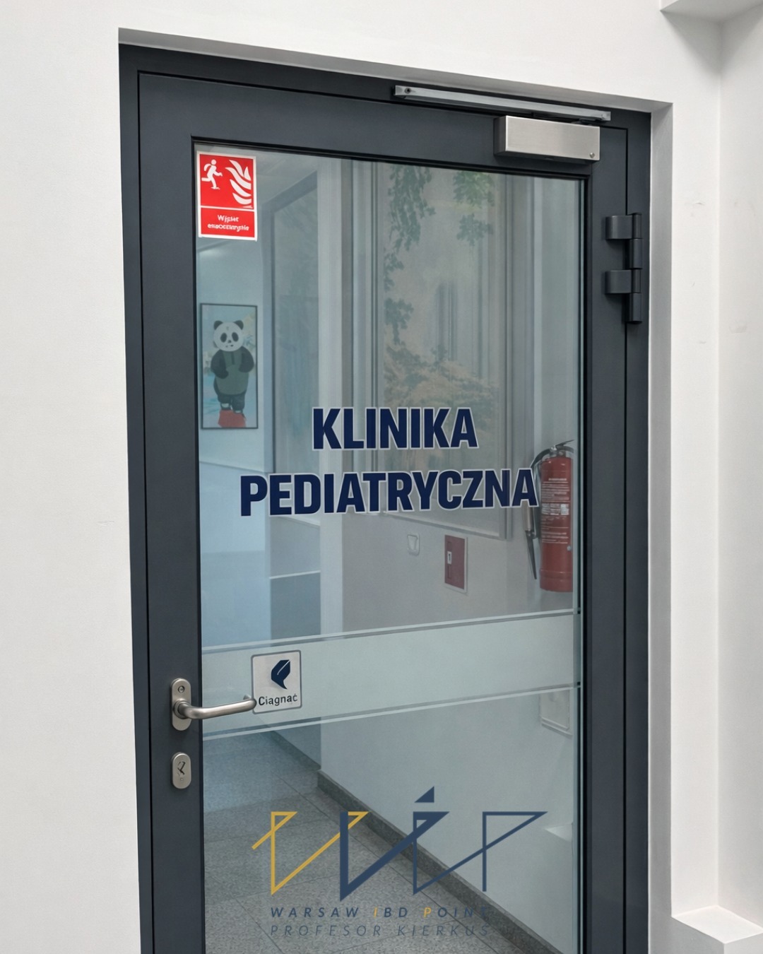 WIP Warsaw IBD Point Profesor Kierkuś Facebook ad