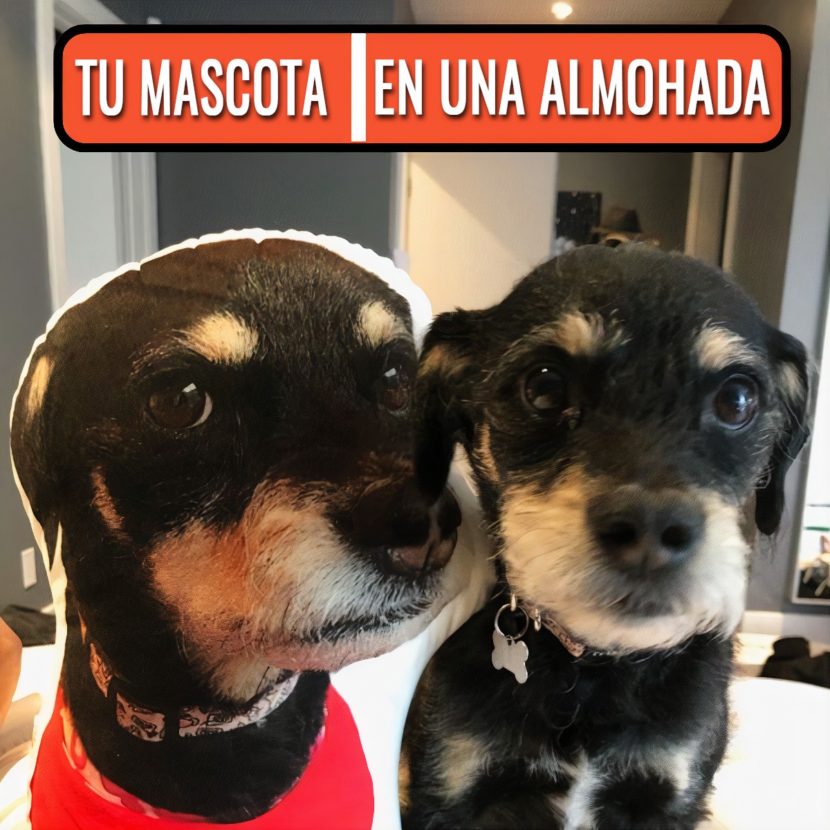 Loviz Oficial Facebook ad: Personaliza ya!